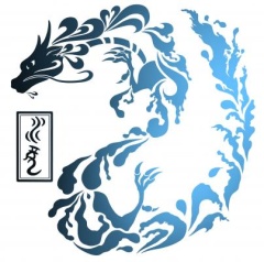 Water Dragon Chinese Massage