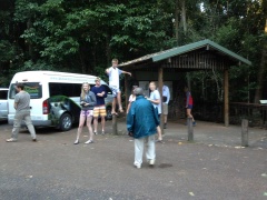 Tablelands Tours and Transfers