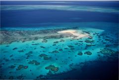 Great Barrier Reef Scenic Flights
