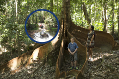 Kuranda Rainforest Journeys