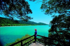 Explore the beauty, see where the rainforest meets the sea