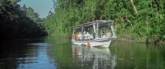 Our 3 hour Daintree river cruise with return transport
