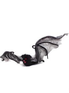 Embrace The Fruit Bat Spectacled Flying Fox of Tropical North Queenslands Herritage Rainforrest Region