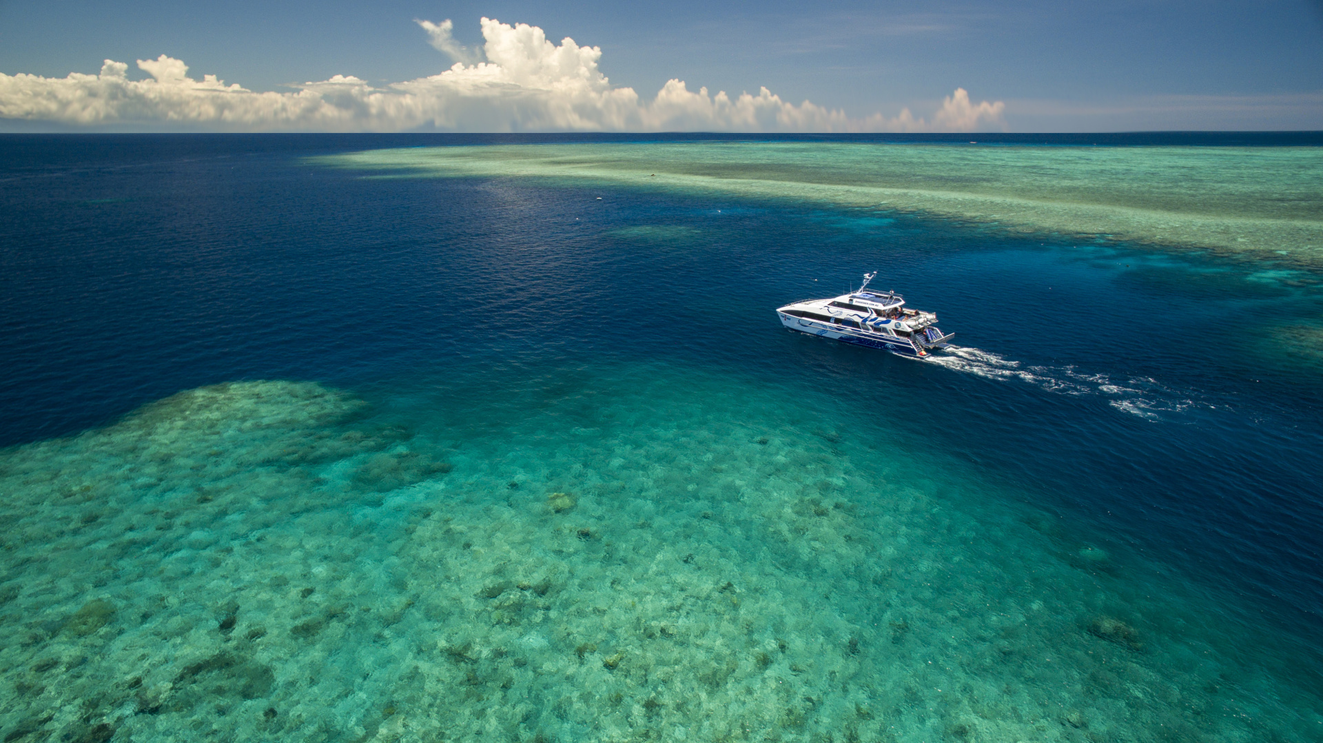 Divers Den Cairns Tourism Town Find & book authentic experiences