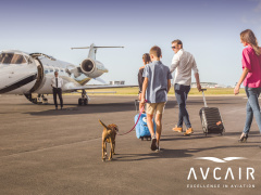 Avcair's LearJet 60