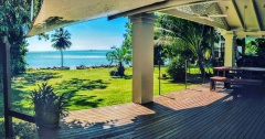Our backyard