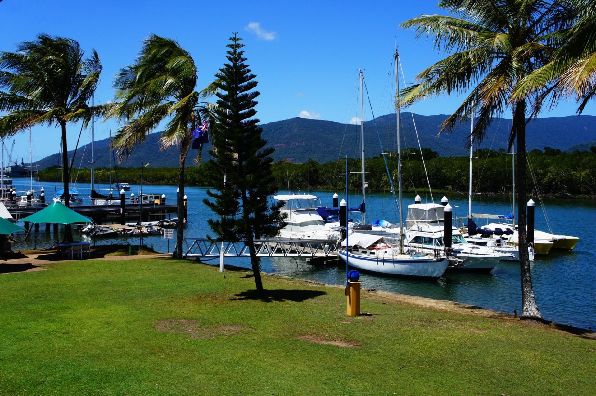 Cairns Cruising Yacht Squadron Cairns Tourism Town Find & book