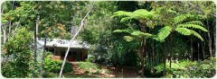 The Pond Cottage