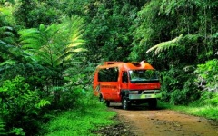 Down Under Tours