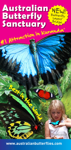 Australian Butterfly Sanctuary