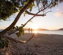 Fitzroy Island National Park offers some amazing walking opportunities for visitors