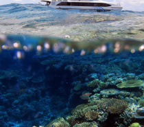 You'll explore spectacular coral formations and underwater gardens awash with vibrantly coloured marine creatures